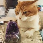 Profile Picture of 芭芭拉水晶小店 (@barbara.crystal.mo) on Instagram