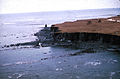 Profile Picture of Yakataga Formationon Wikipedia