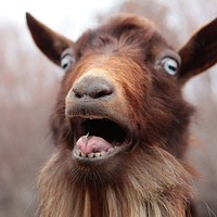 Profile Picture of Joline Smith (@joline-smith) on Quora