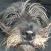 Profile Picture of Paul Conyers (@paul.conyers.37) on Facebook
