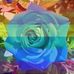 Profile Picture of Aaron Jones (@aaron.jones.501) on Facebook