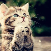 Profile Picture of Aleksandr Kazakov (@aleksandrkazakov8691) on Youtube