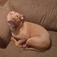 Profile Picture of Shawn Spade (@shawn-spade-2) on Quora
