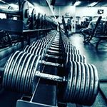 Profile Picture of David Vitrano (@djfitrano) on Instagram