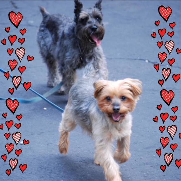 Profile Picture of Vivian Barone (@dolphina2470) on Poshmark