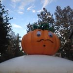 Profile Picture of Bernard Pablo Farragut (@bernardthepumpkin) on Instagram