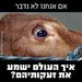 Profile Picture of Gil Avraham (@avraham1979) on Pinterest