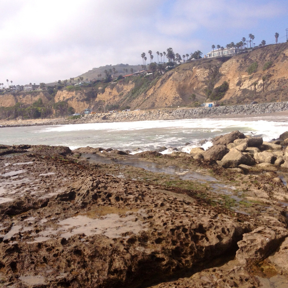 Profile Picture of Alexa Fields (@lex08) on Poshmark