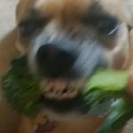Profile Picture of homer sampson (@w0wzayowza) on Instagram
