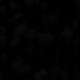 Profile Picture of Tháp Bùi (@thap.bui.7140) on Facebook