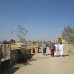 Profile Picture of Ahmad Derrick Peat (@dmpeat) on Instagram