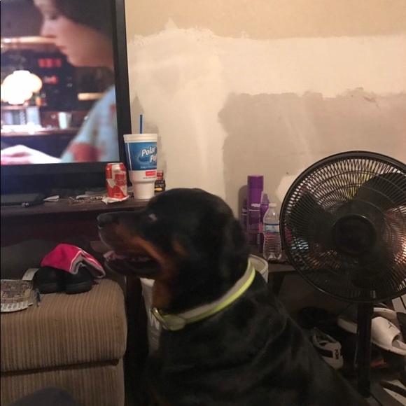 Profile Picture of Joel Arellano (@joel_arellano) on Poshmark