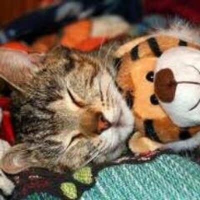 Profile Picture of Isabel Torrez (@isabeltorrez3) on Twitter