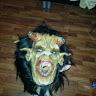 Profile Picture of Daniel Knoll (@@da.knolle) on Tiktok