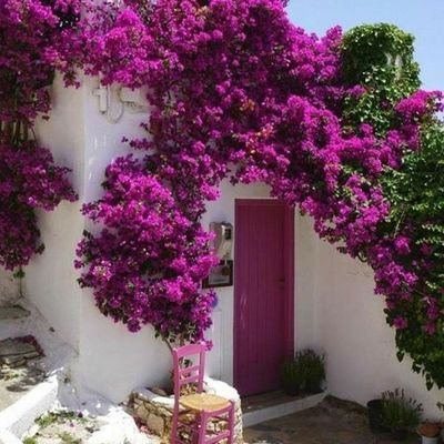 Profile Picture of Hana Dernawi (@dernawi_hana) on Twitter