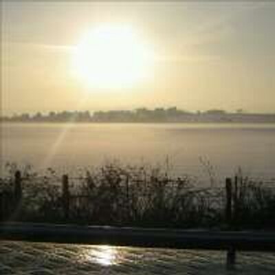 Profile Picture of Andrew Dale (@andydalos) on Twitter