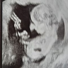 Profile Picture of davidpippen655 (@davidpippen655) on Tiktok