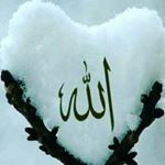 Profile Picture of Mohammad Nofal (@moh.nofal2001) on Instagram