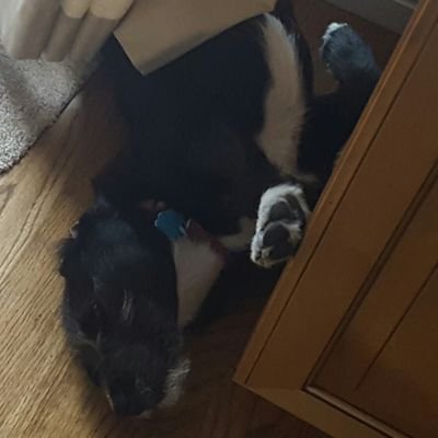 Profile Picture of Nathan Gale (@Lopsided10) on Twitter