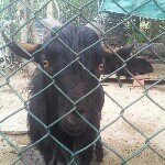 Profile Picture of 記錄我在陽光燦爛的日子。 (@ian.cheung_) on Instagram