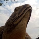 N.Avellino - Instagram Profile Picture of N.Avellino (@avel_nicholas) on Instagram