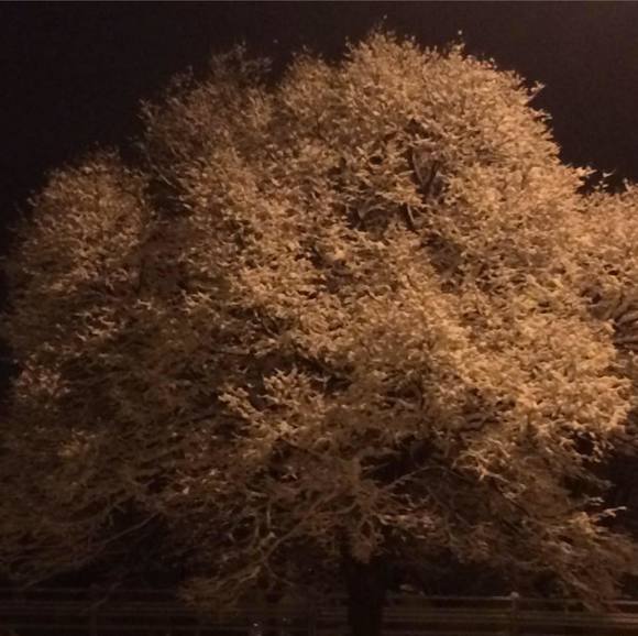 Profile Picture of Serge Villandré (@svillandrey) on Poshmark