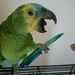 Profile Picture of Beverly Benito (@maple1216) on Pinterest