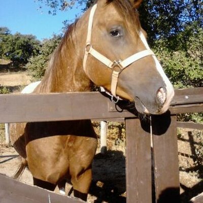 Profile Picture of Matteo Bistocchi (@bistomarini) on Twitter