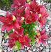 Profile Picture of Sharon Clements (@sharon.clements.528) on Facebook