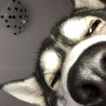 Profile Picture of lisa coraline (@lisan6458) on Instagram