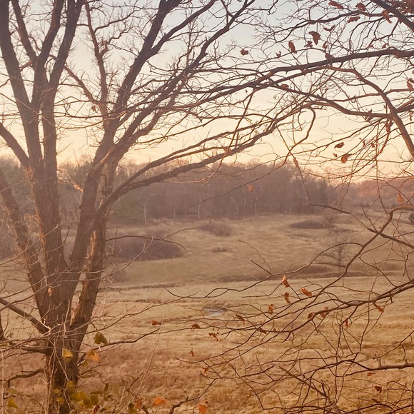 Profile Picture of Autumn jean Morlan (@a_morlan) on Poshmark