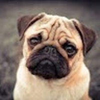 Profile Picture of Nicholas Kowal (@nicholas-kowal-1) on Quora