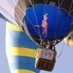 Profile Picture of Glenn Woller (@gimpyglenn) on Pinterest