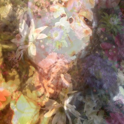 Profile Picture of Bianca Beetson (@pinkstinks) on Twitter