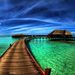 Profile Picture of Kevin Malick (@kevin_malick) on Pinterest