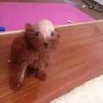 Profile Picture of Connor (@connor_fallon101) on Instagram