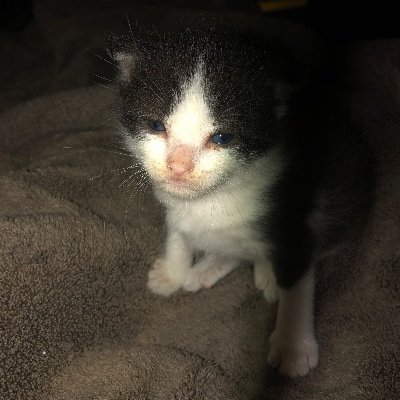 Profile Picture of Dustin Stidham (@DustinStidham5) on Twitter