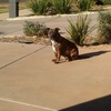 Profile Picture of Nicole Salter (@@nicolesalter2) on Tiktok