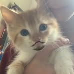 Profile Picture of Christopher McFadden (@christopher.mcfadden.9406) on Facebook