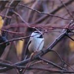 Dawn Foster - Instagram Profile Picture of Dawn Foster (@jonanddawngrisham) on Instagram