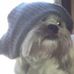 Profile Picture of Jason Cargill (@jason.cargill.9) on Facebook