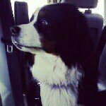 Profile Picture of tuskivanwiest (@tuskivanwiest) on Instagram