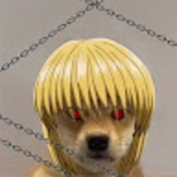 Profile Picture of Daniella Roque-rocha (@ilovesocks209) on Poshmark