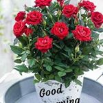 Profile Picture of Yarlagadda Srinivas (@yarlagadda.srinivas.798) on Instagram