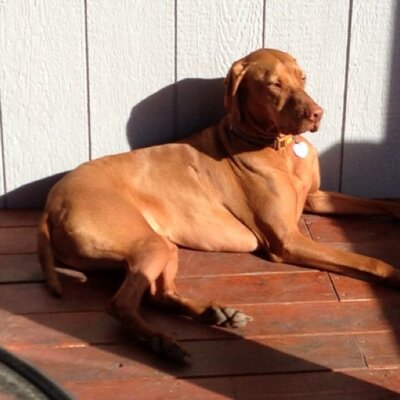 Profile Picture of Jim Markey (@jimarkey) on Twitter