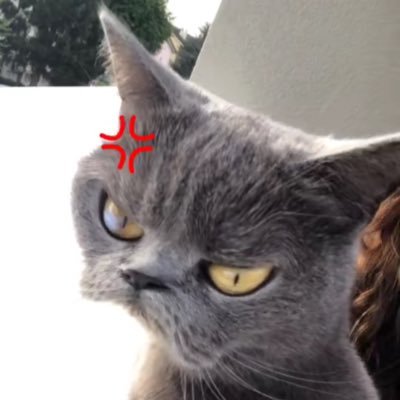 Profile Picture of Wolfgang (@Kevin_Lpzz) on Twitter