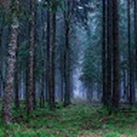 Profile Picture of Zachary Currier (@zachary-currier-6) on Quora