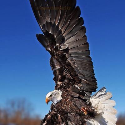 Profile Picture of Mike Rotondo (@graytruckdrive) on Twitter