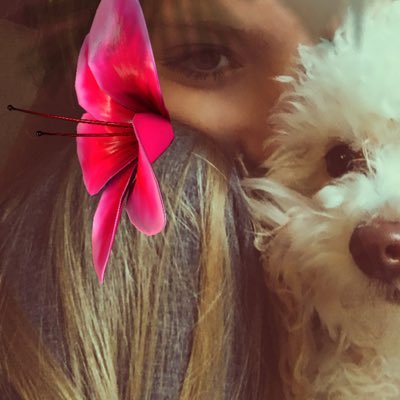 Profile Picture of Amanda Whitacre (@WhitacreAmanda) on Twitter