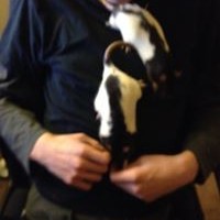 Profile Picture of Kyle Petry (@kyle-petry) on Quora